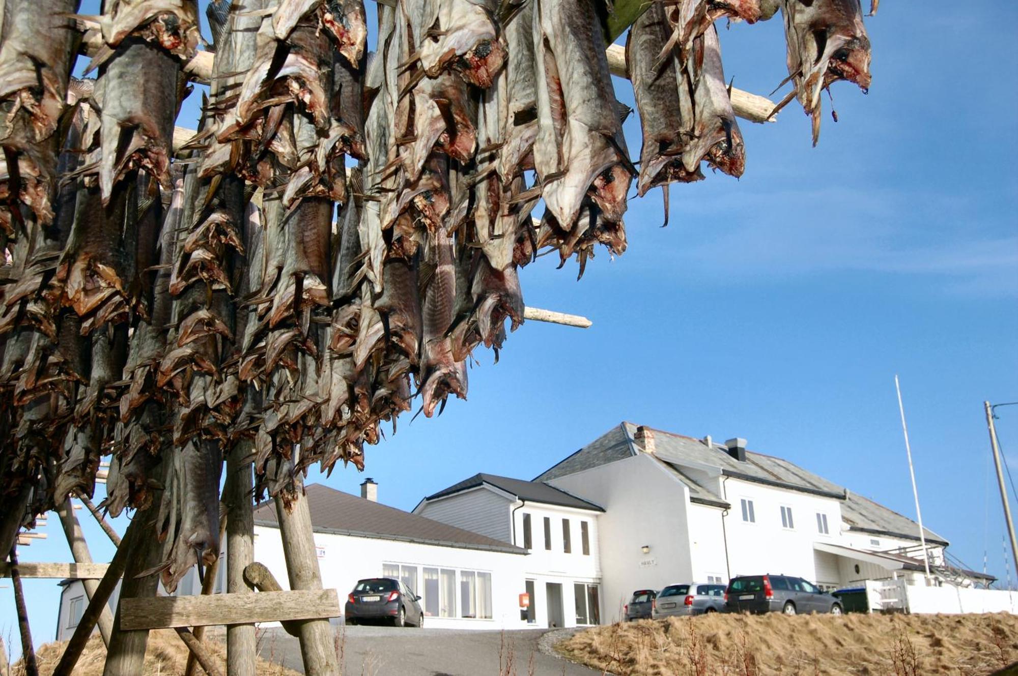 Fiskarheimen Havly, Rost Hotell Exteriör bild