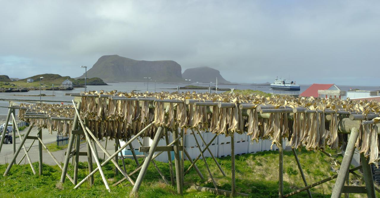 Fiskarheimen Havly, Rost Hotell Exteriör bild