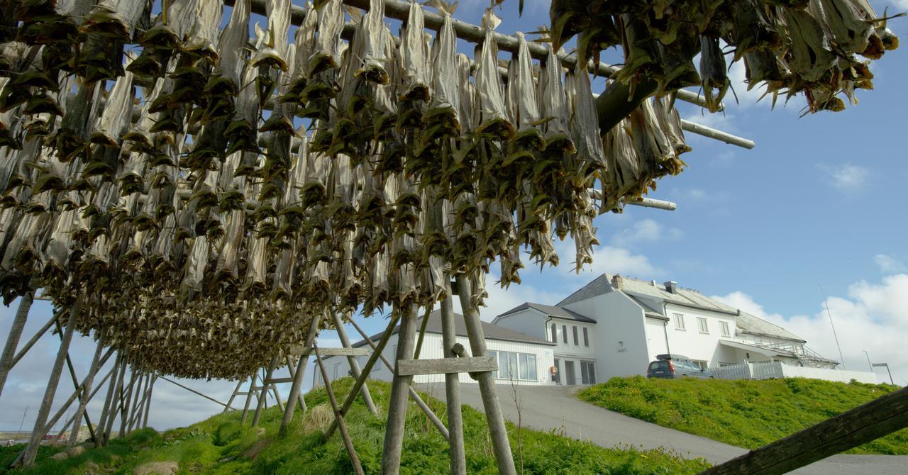 Fiskarheimen Havly, Rost Hotell Exteriör bild
